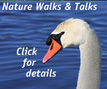 Walks&Talks